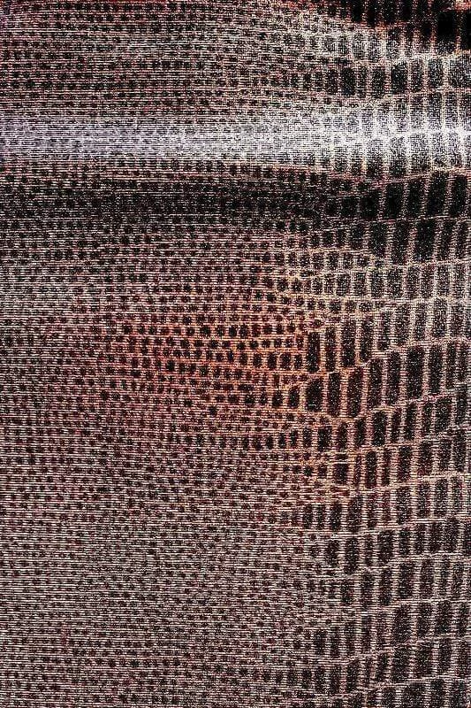 Brown Alligator Embossed Print Cheeky Bikini - Image 5