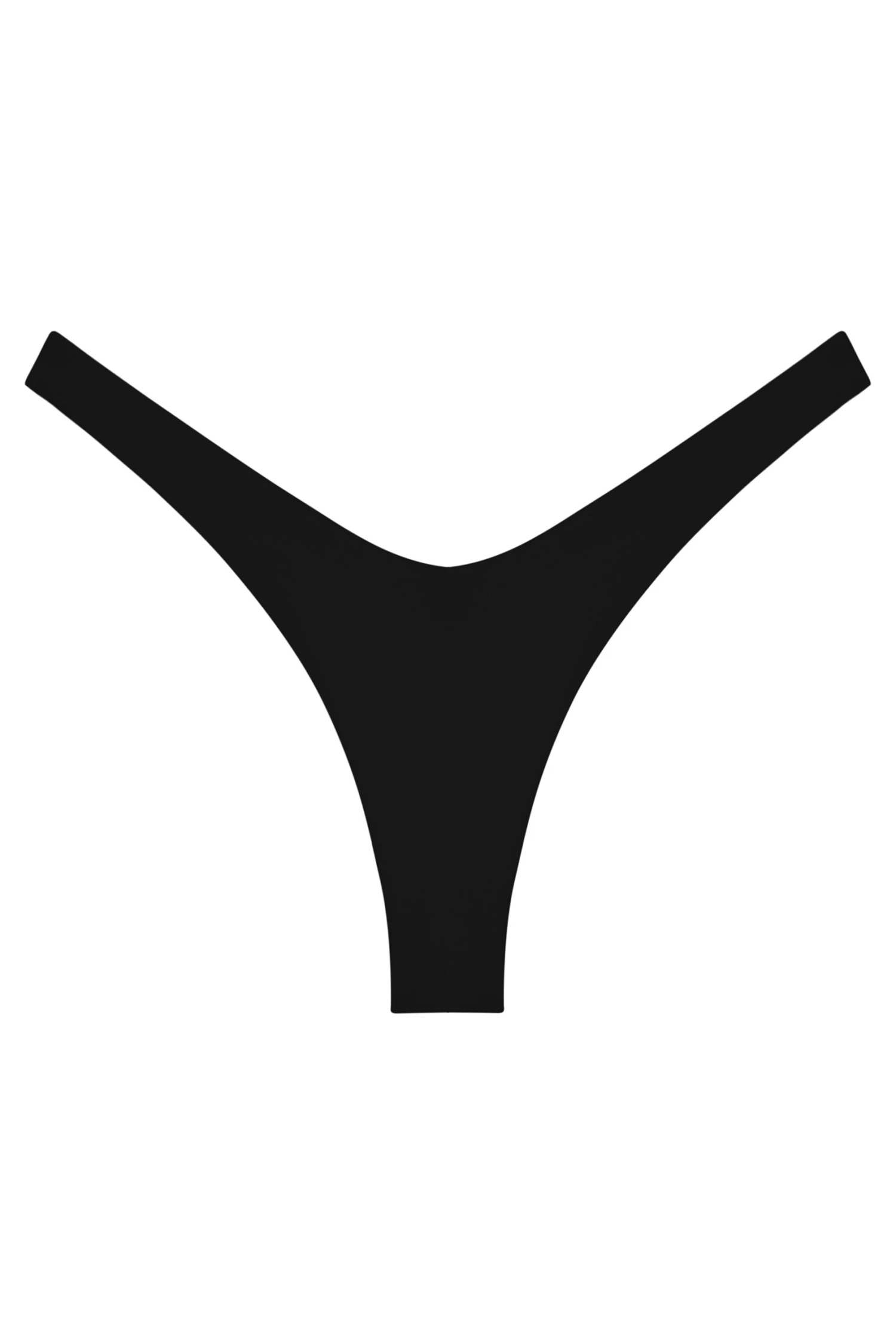 Ludisia Bottom - Image 10