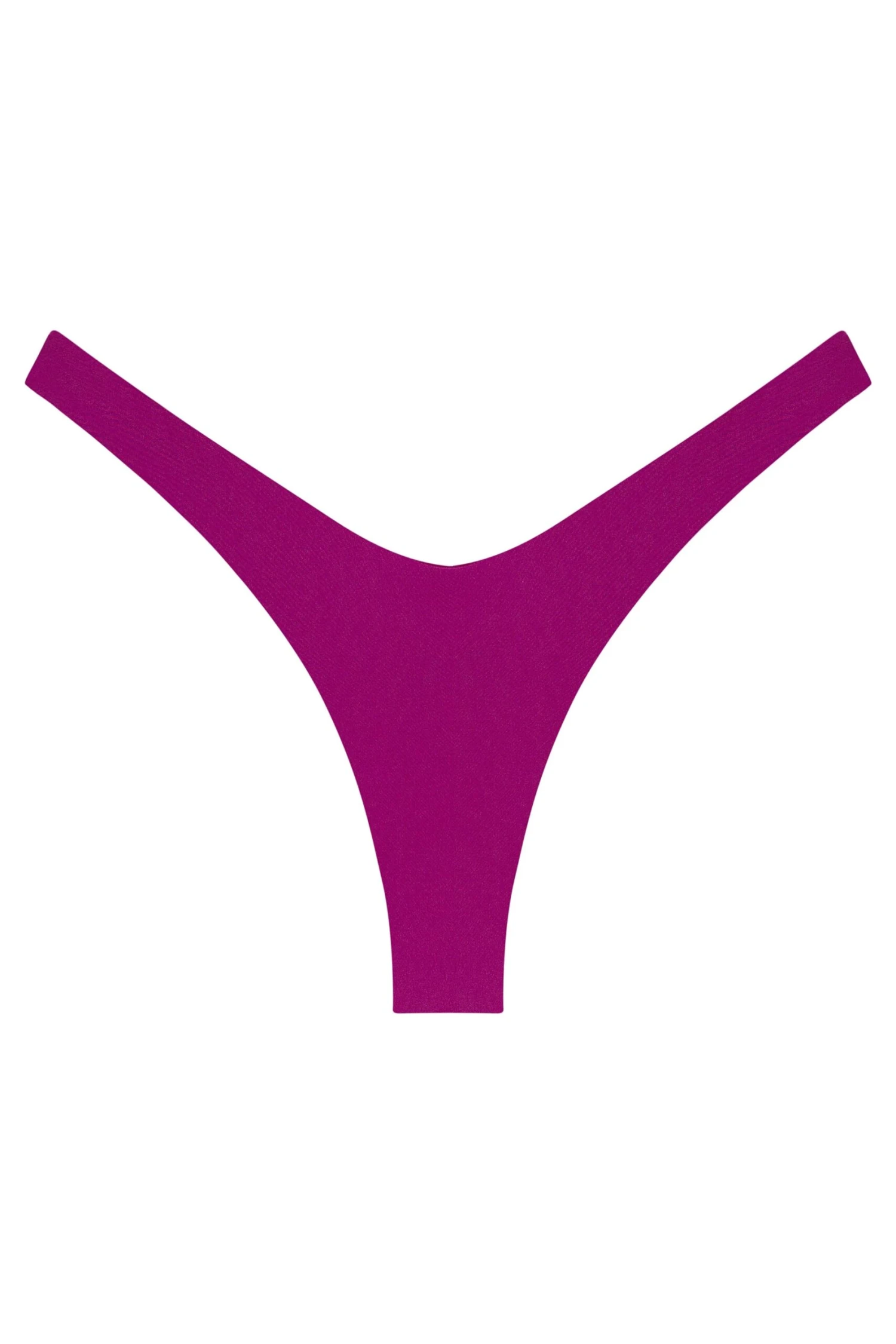 Ludisia Bottom - Image 3