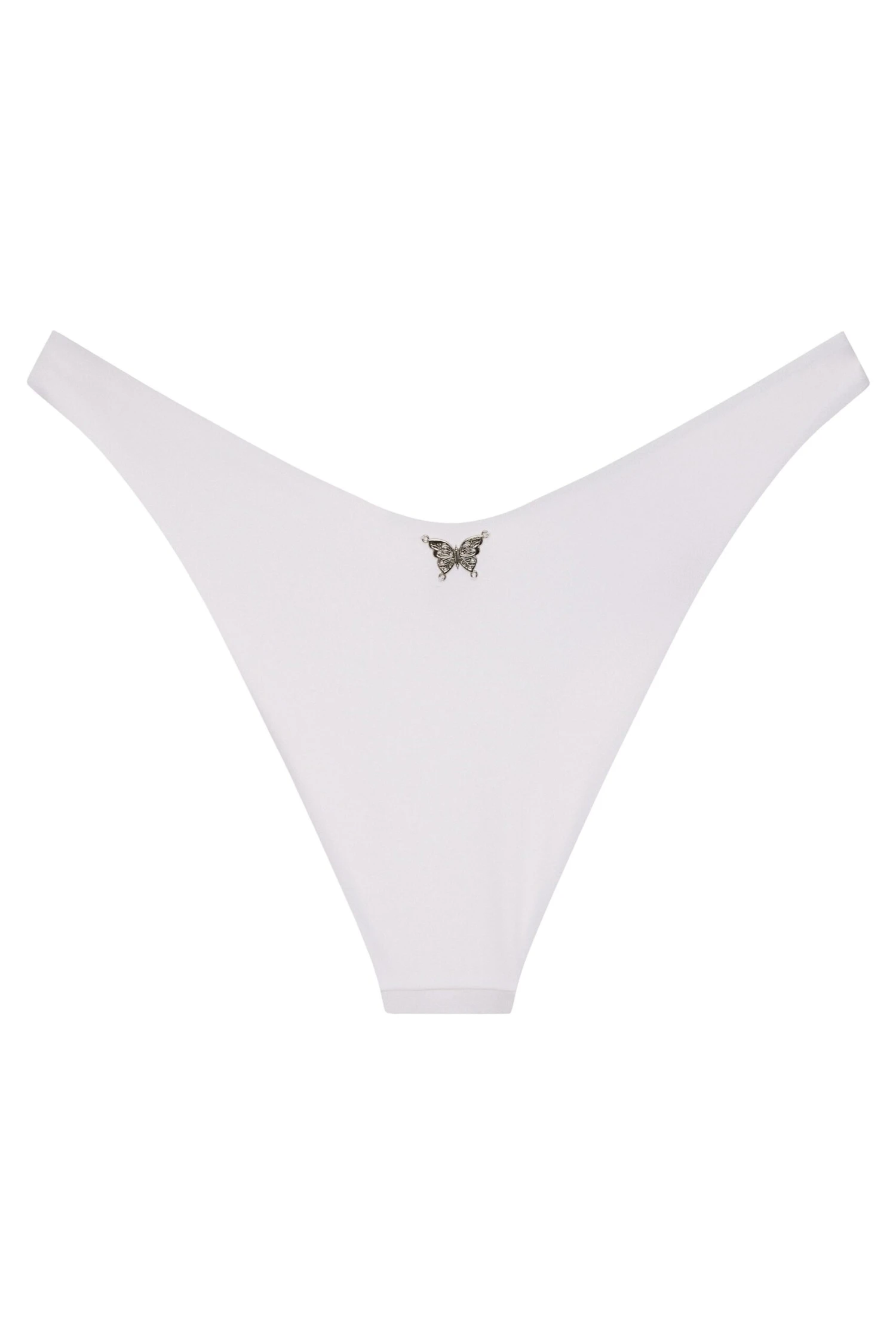 Ludisia Bottom - Image 3